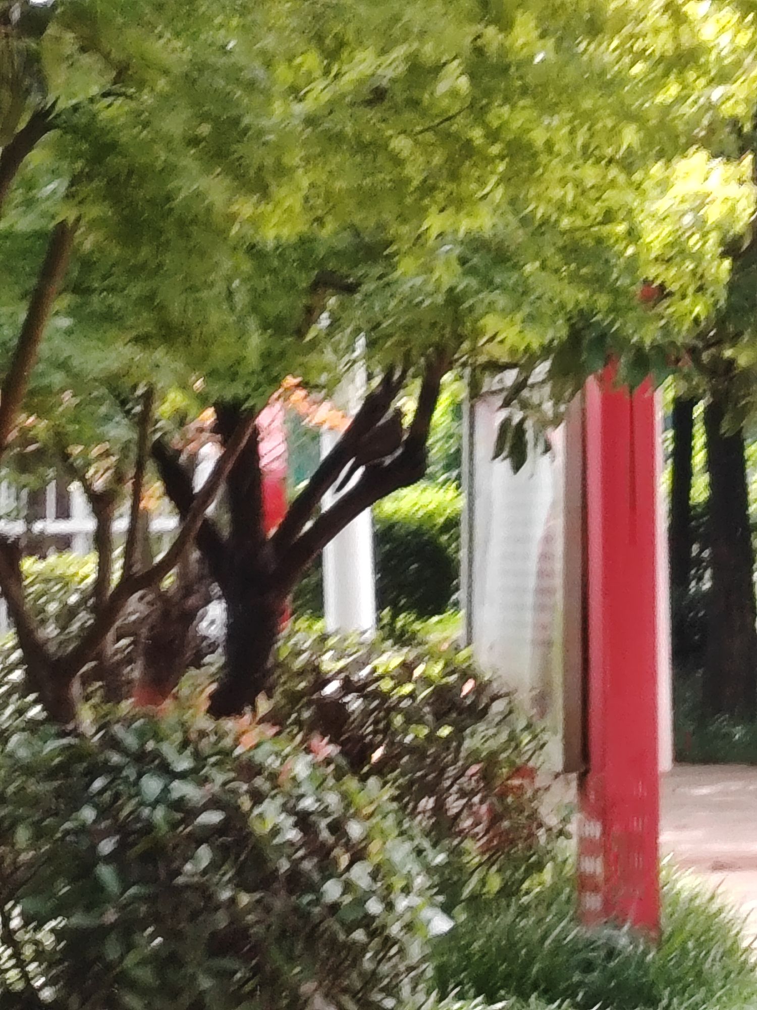 邓州市湍河国家湿地公园旅行图片 3