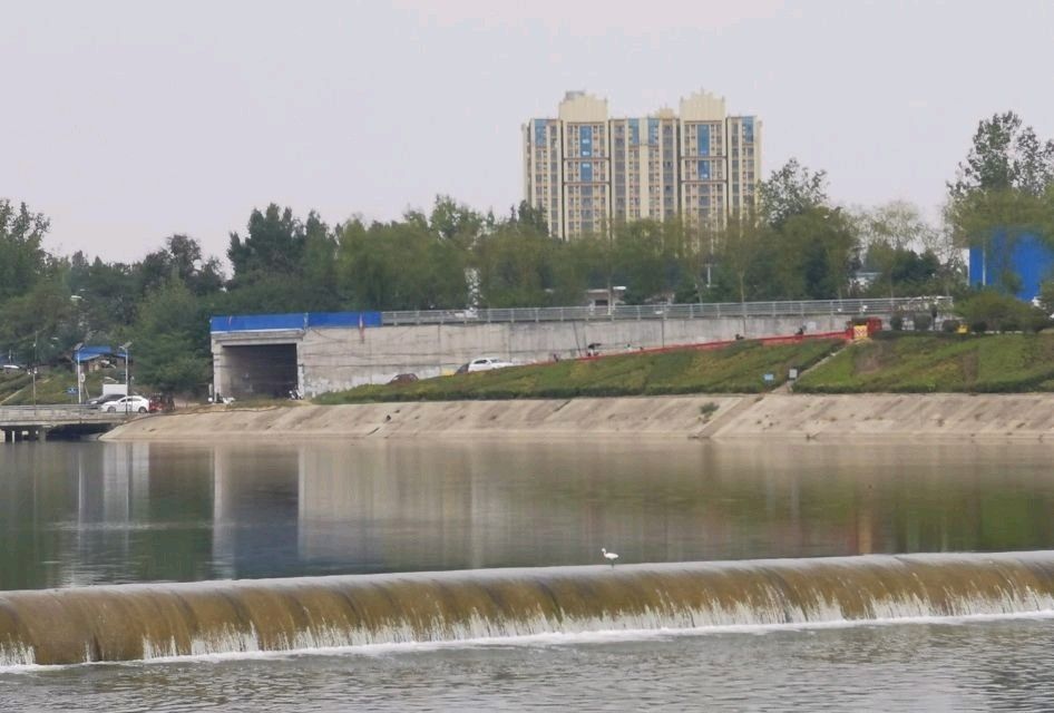 邓州市湍河国家湿地公园旅行图片 2
