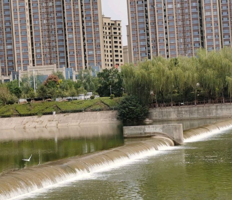 邓州市湍河国家湿地公园旅行图片 3
