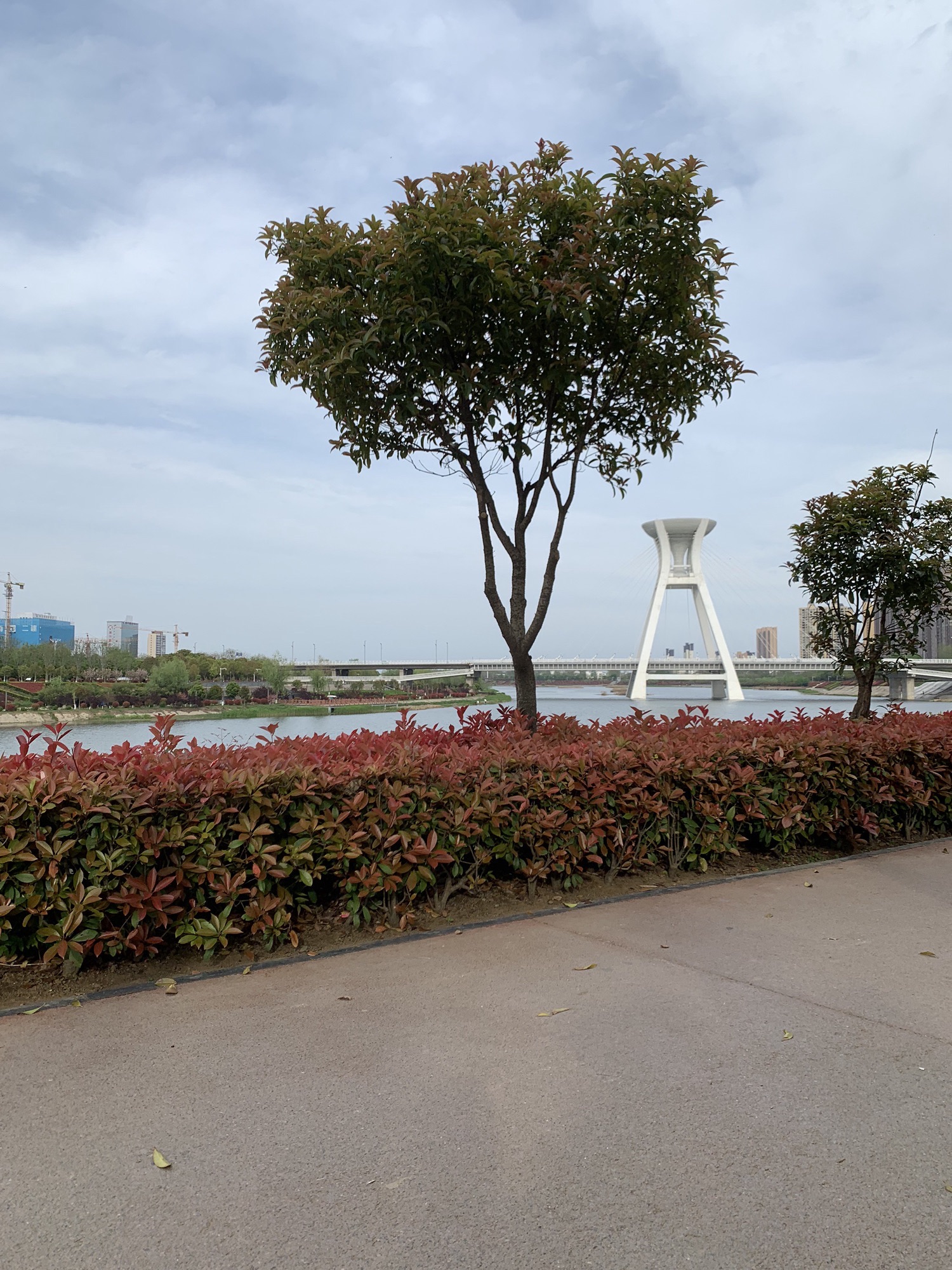 邓州市湍河国家湿地公园旅行图片 2