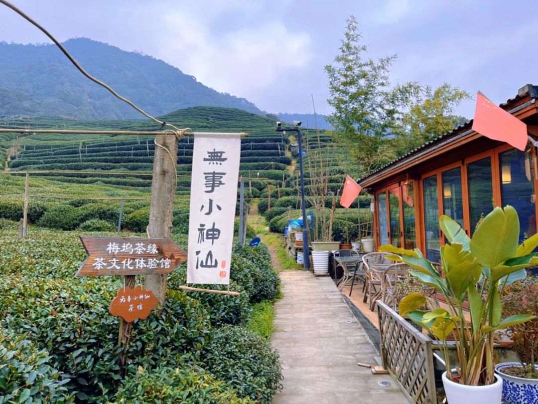 梅家坞茶文化村