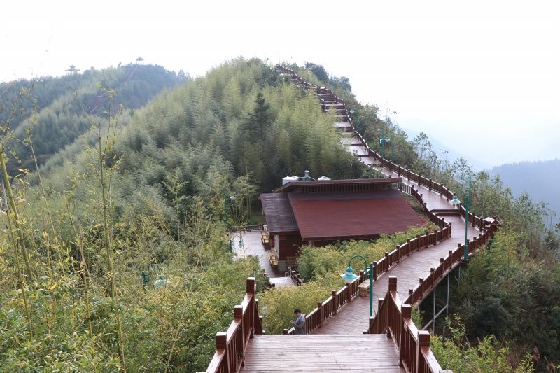 大洞竹海景区旅行图片 2