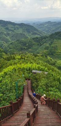 大洞竹海景区旅行图片 2