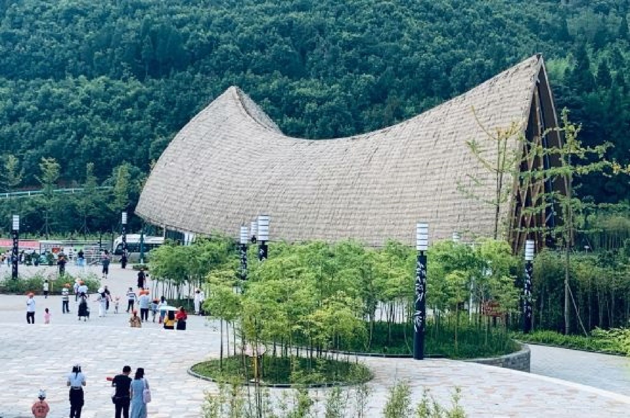 大洞竹海景区旅行图片 1
