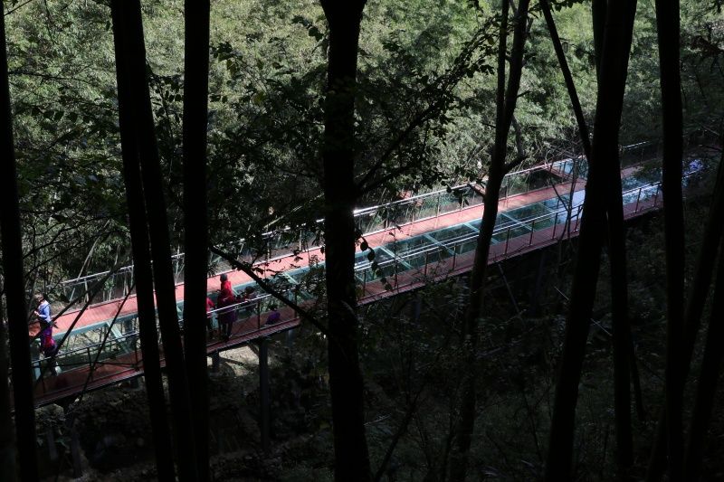 大洞竹海景区旅行图片 3