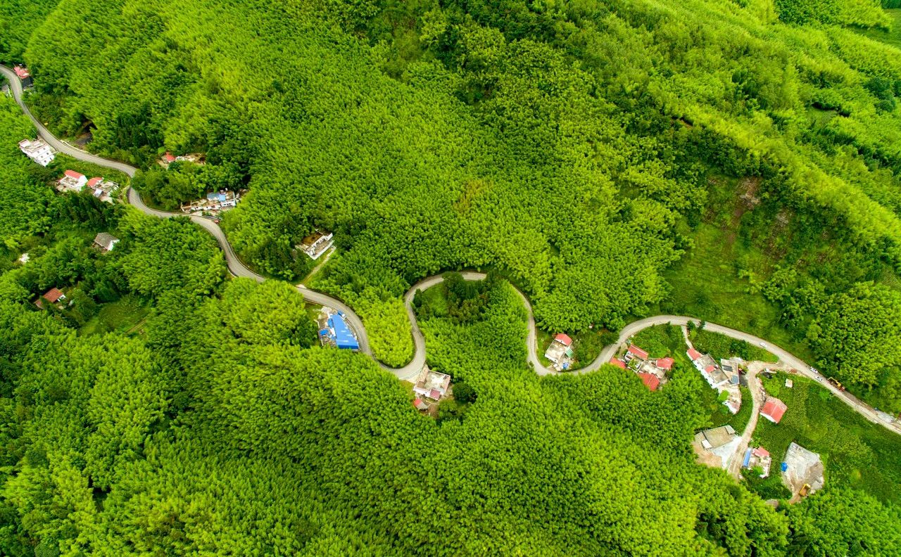 大洞竹海景区旅行图片 3