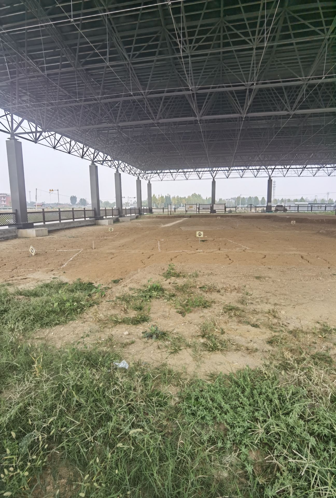大汶口国家考古遗址公园旅行图片 3
