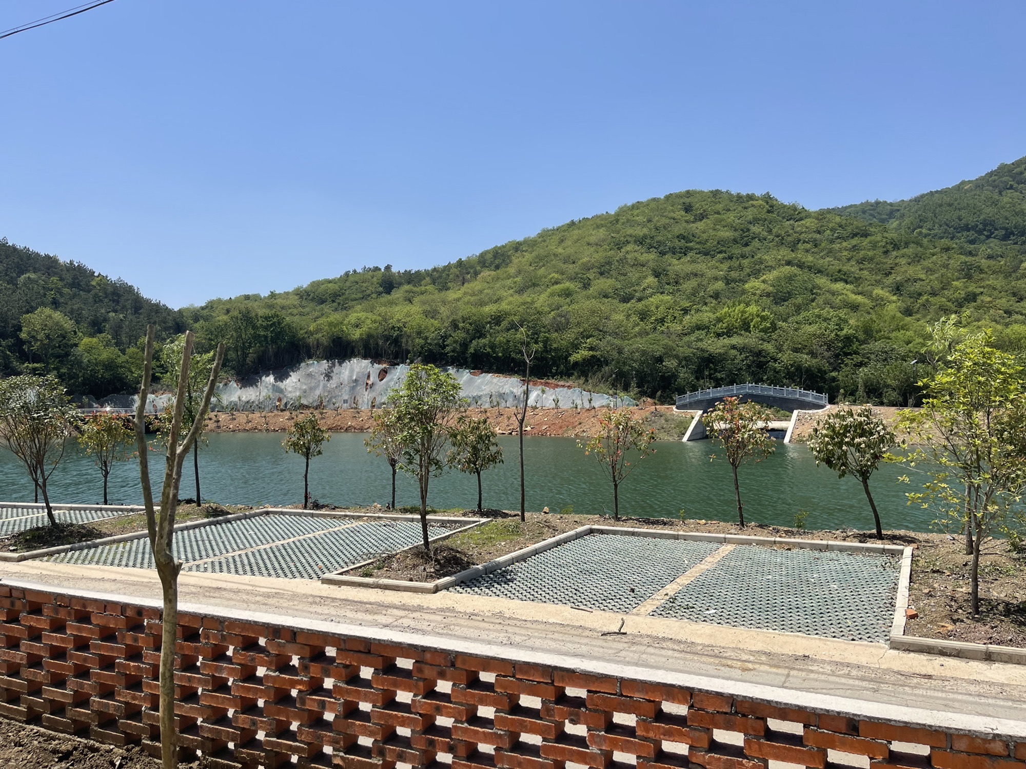 青苔洞旅行图片 1