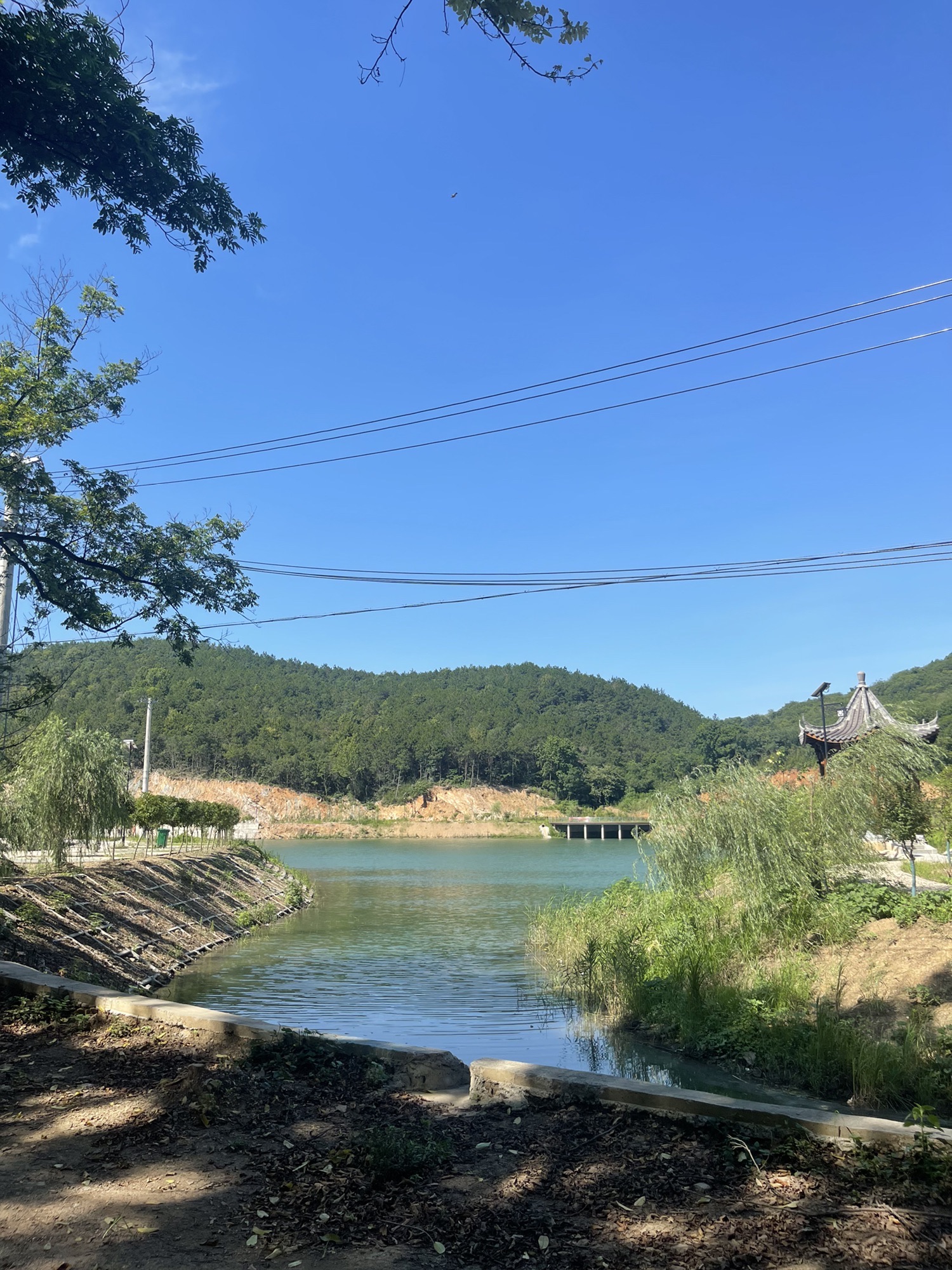 青苔洞旅行图片 2