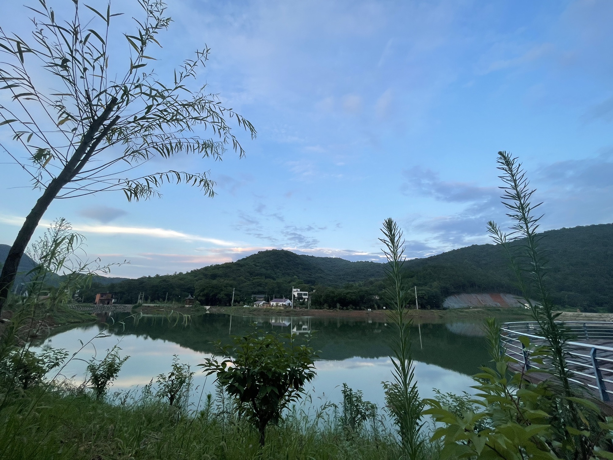 青苔洞旅行图片 3
