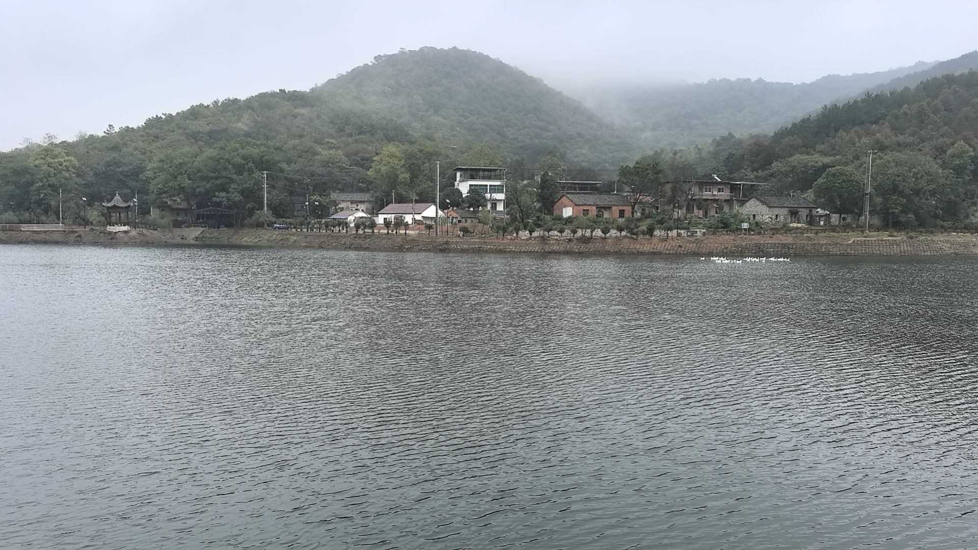 青苔洞旅行图片 1