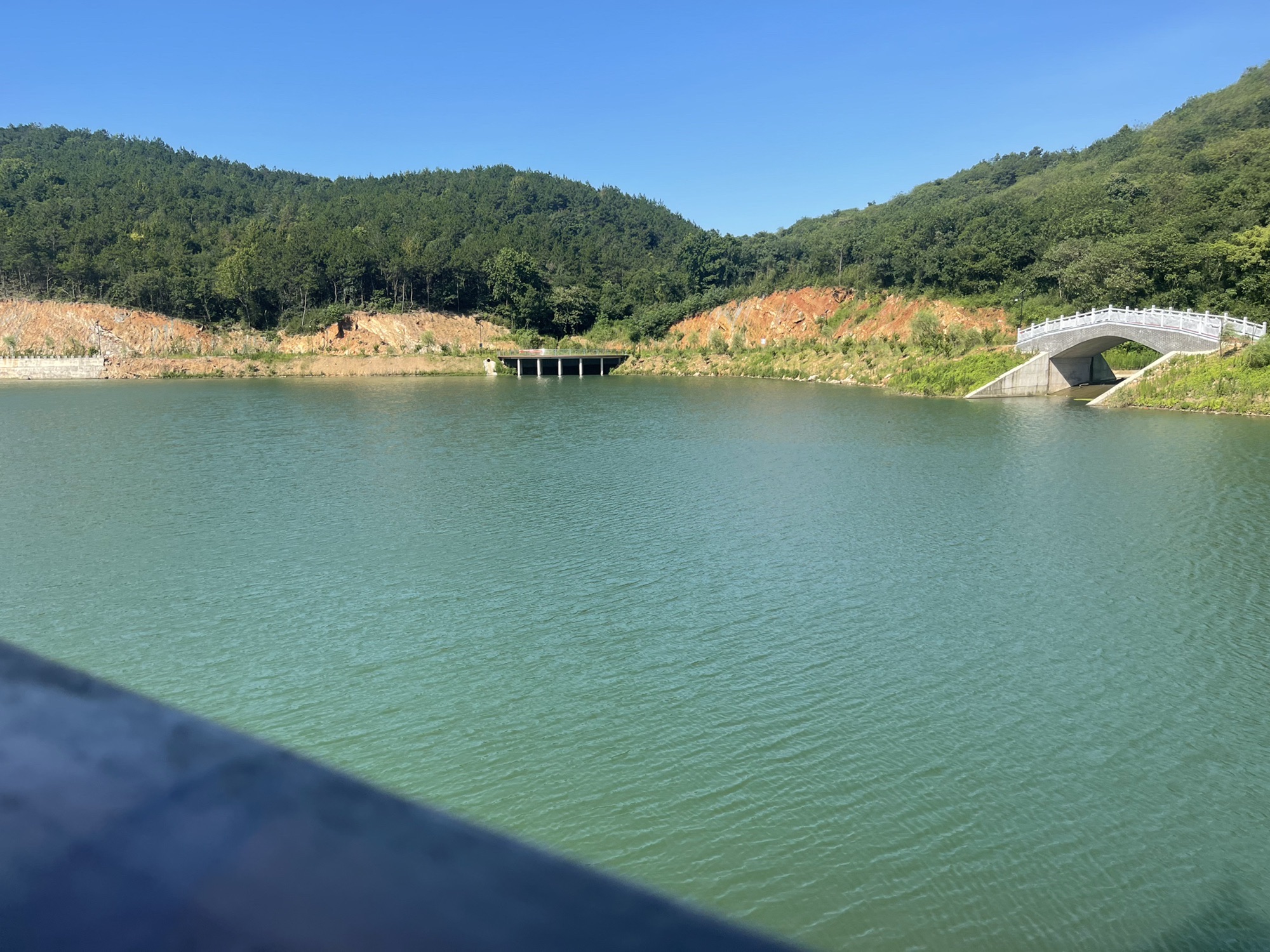青苔洞旅行图片 3