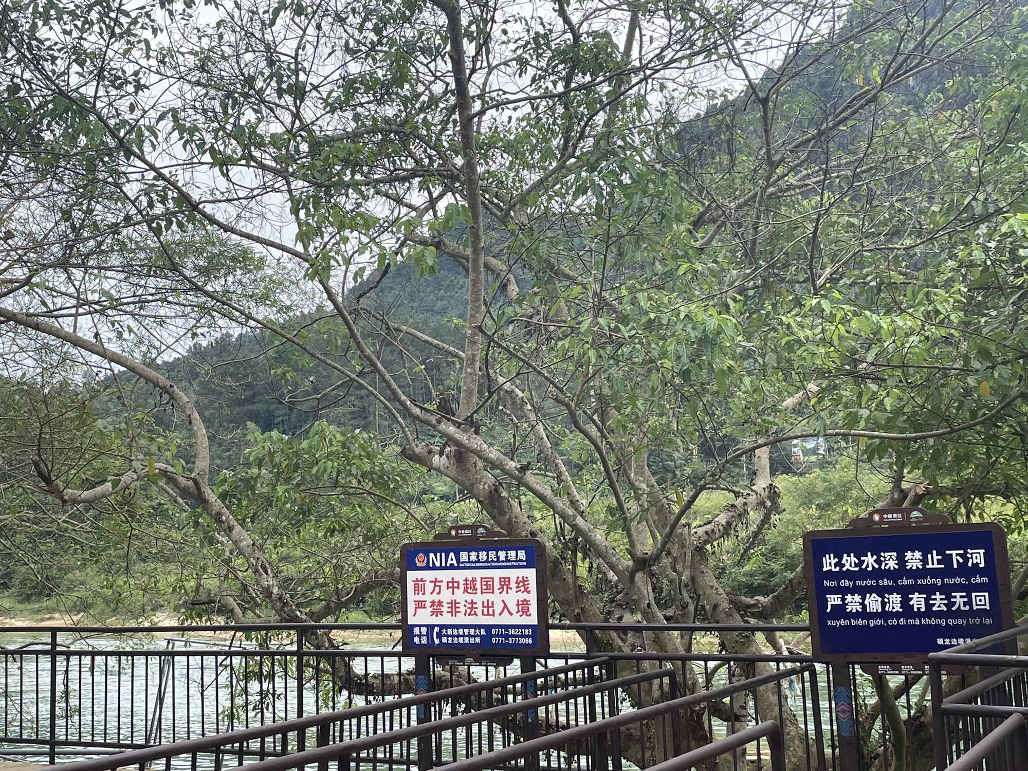 德天跨国瀑布 景点照片
