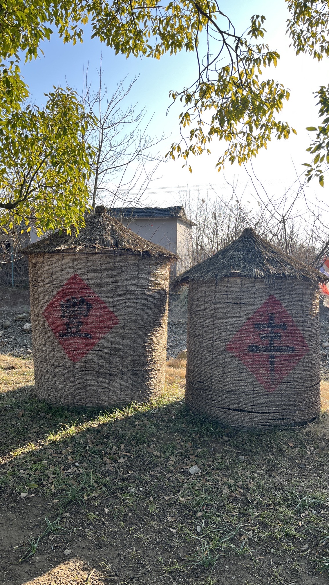 大通古镇风景区旅行图片 2