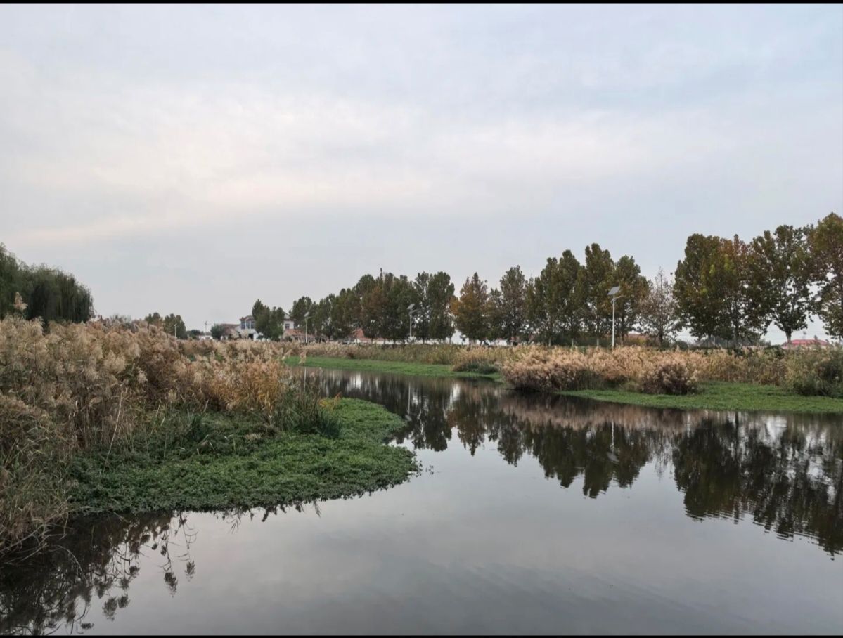 运粮河湿地公园旅行图片 1