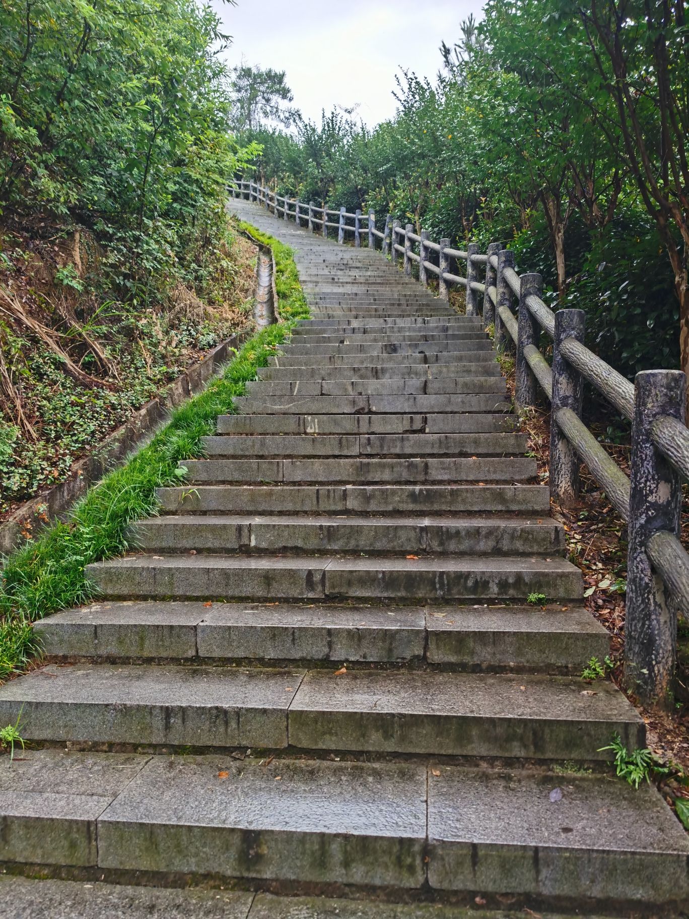 望华楼旅行图片 2