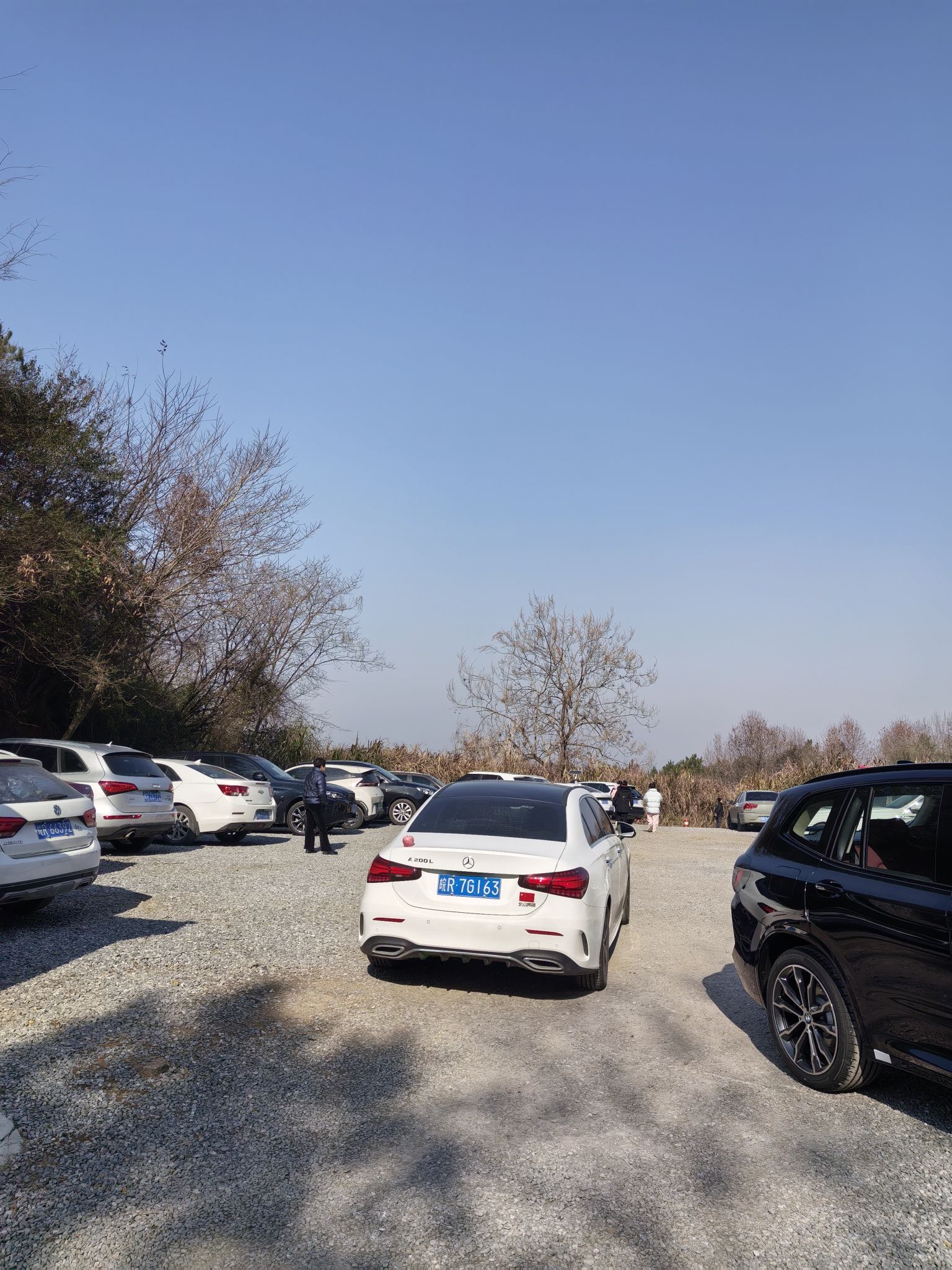 望华楼旅行图片 3