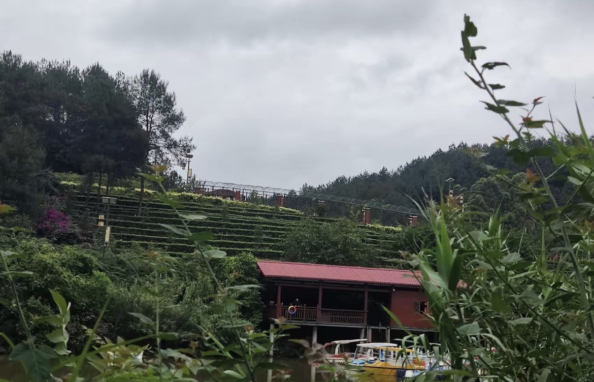 大雁岭景区旅行图片 2