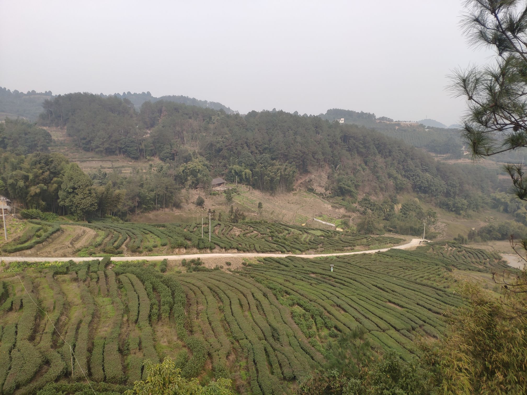 大雁岭景区旅行图片 2