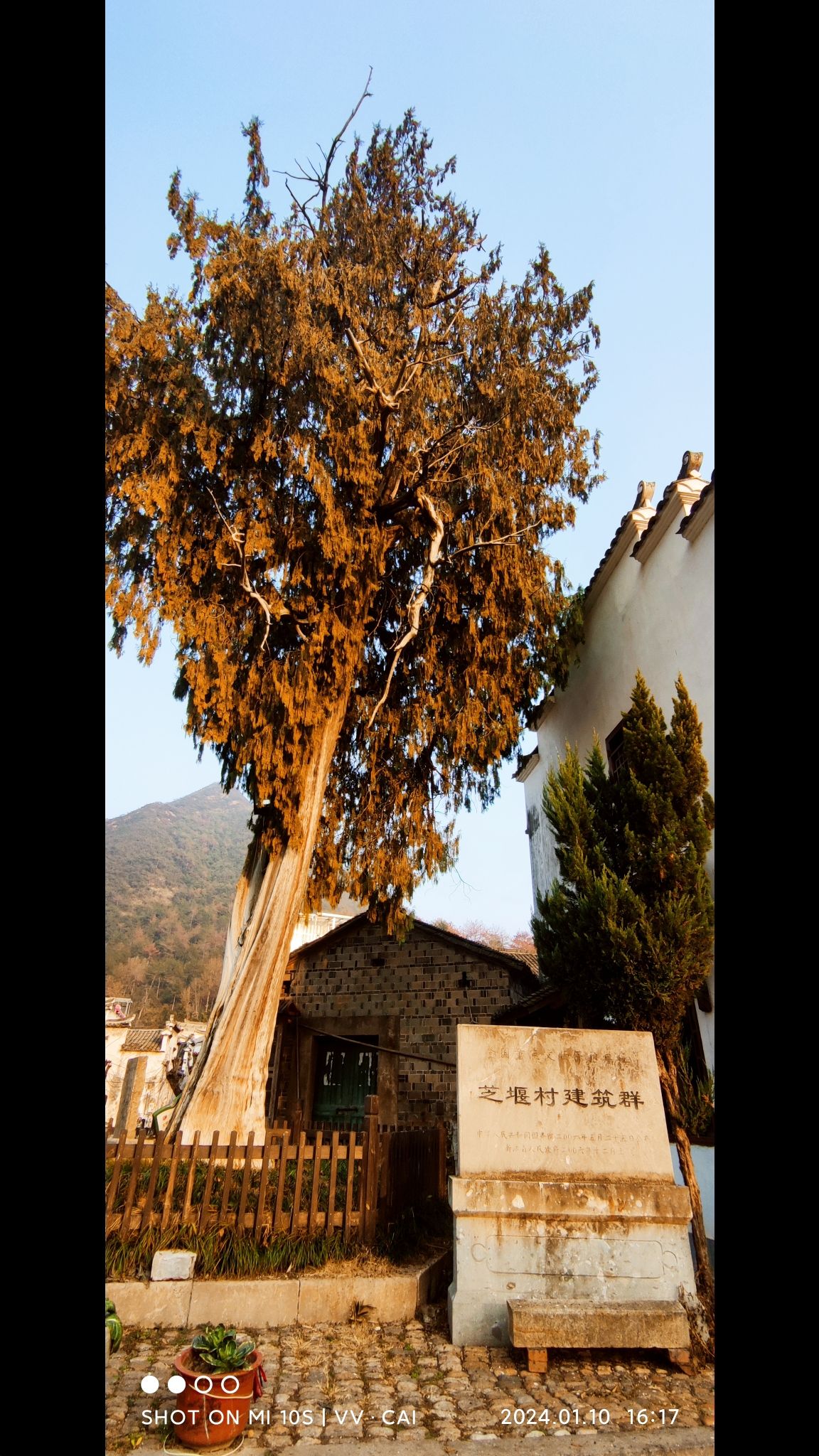 芝堰古村旅行图片 2