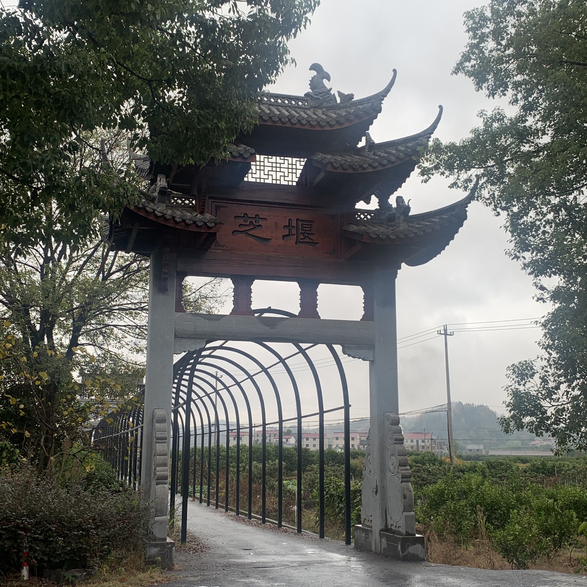 芝堰古村旅行图片 3