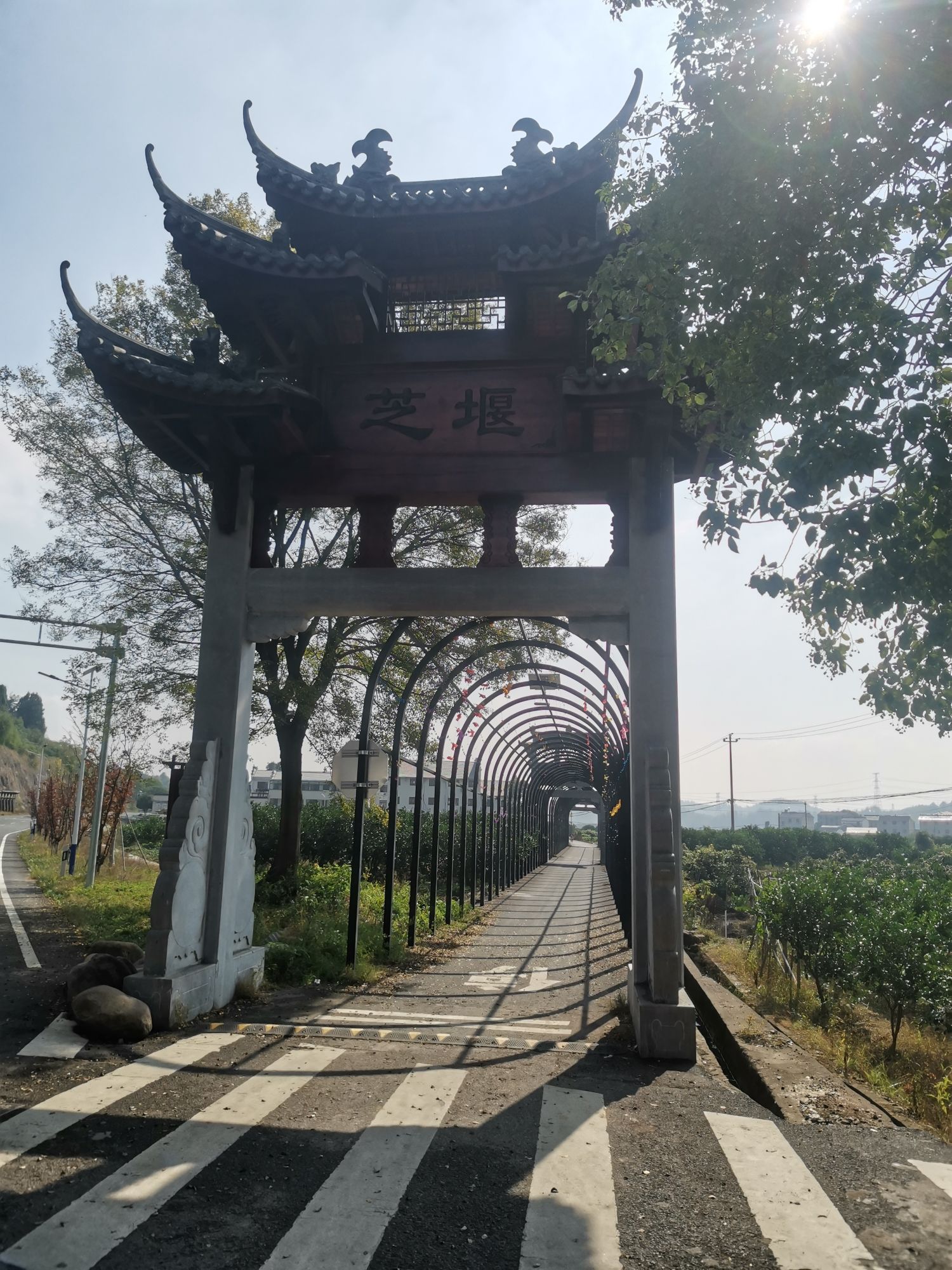 芝堰古村旅行图片 3