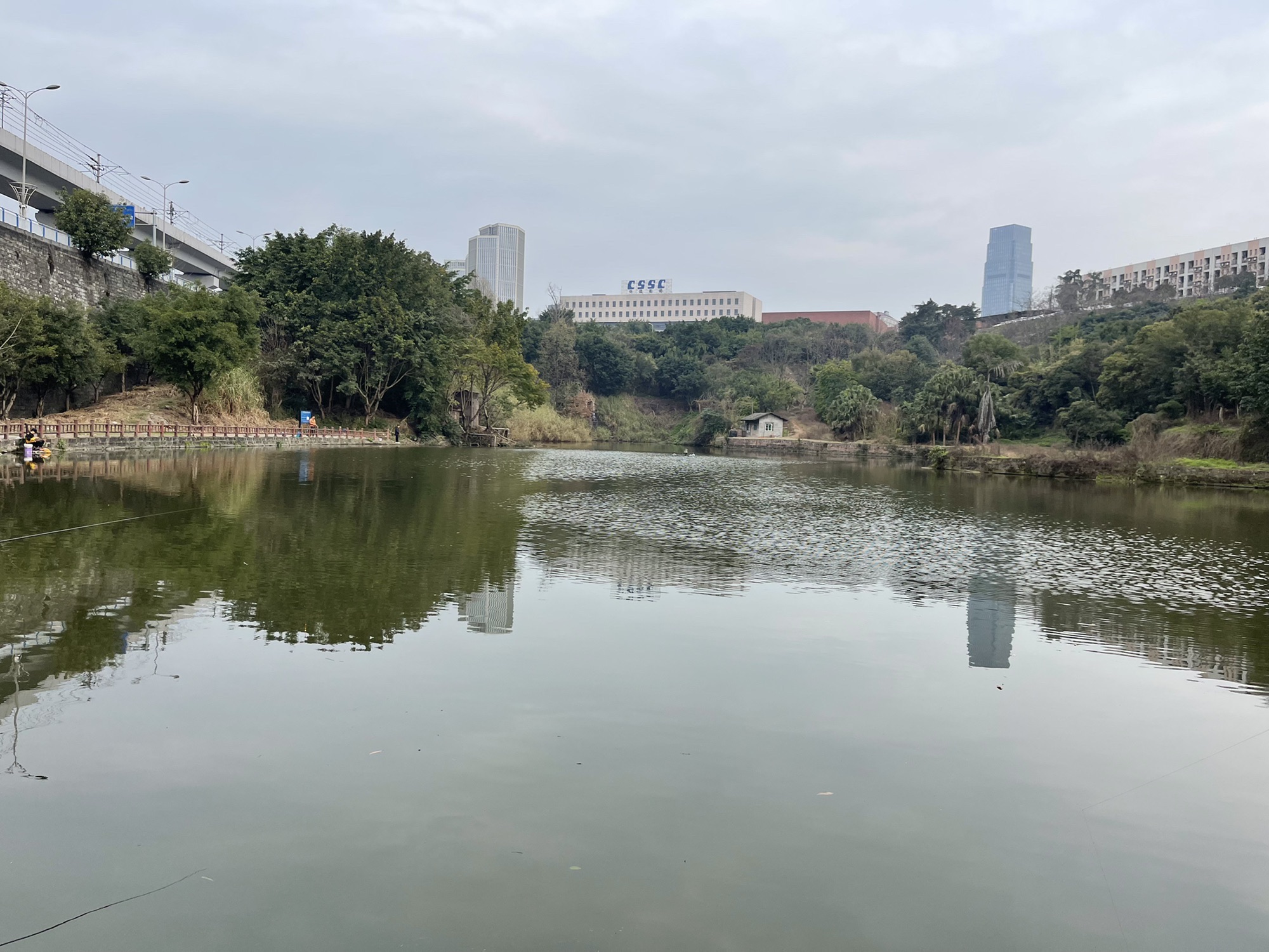 竹林公园-垂钓园