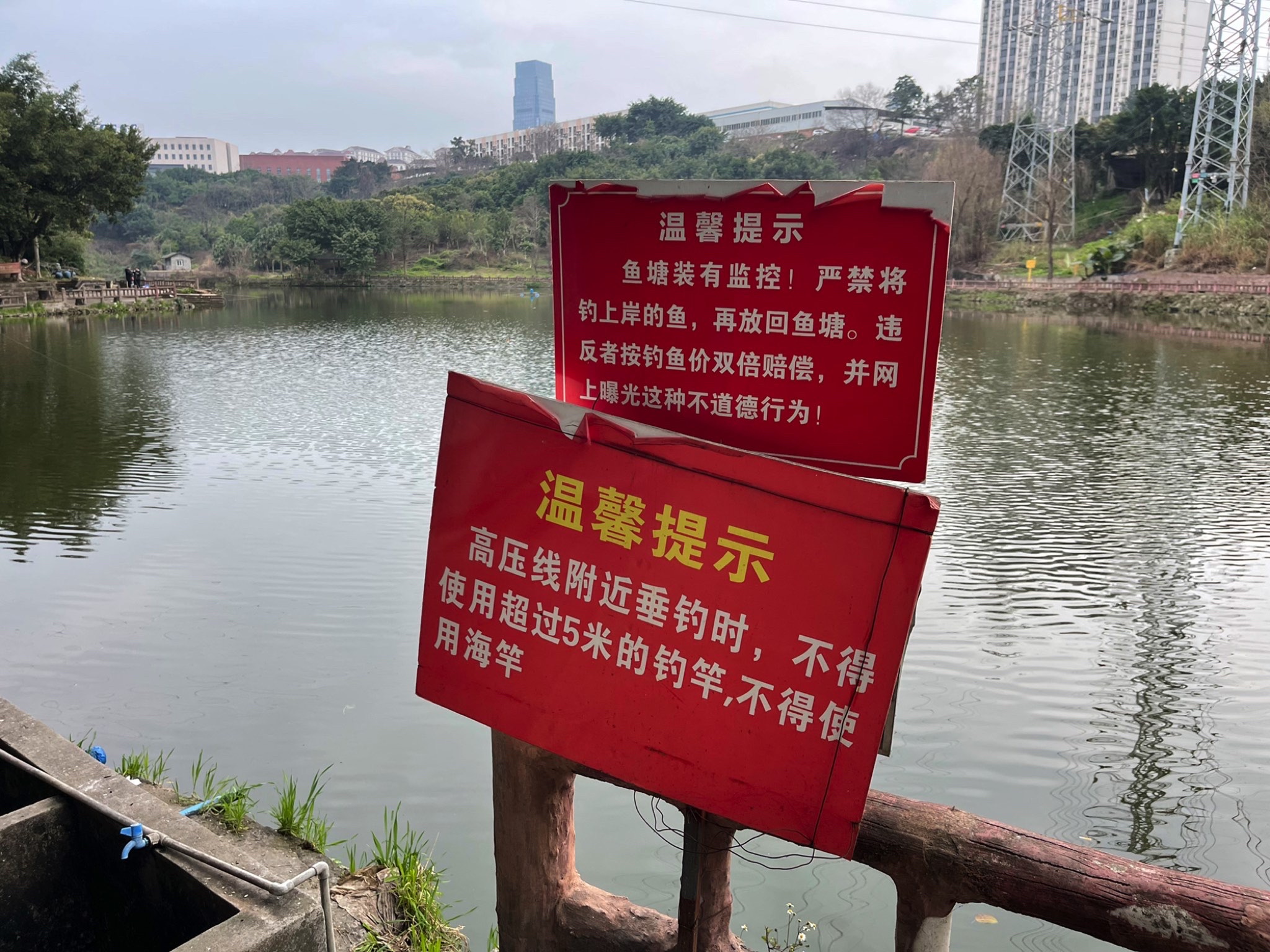 竹林公园-垂钓园