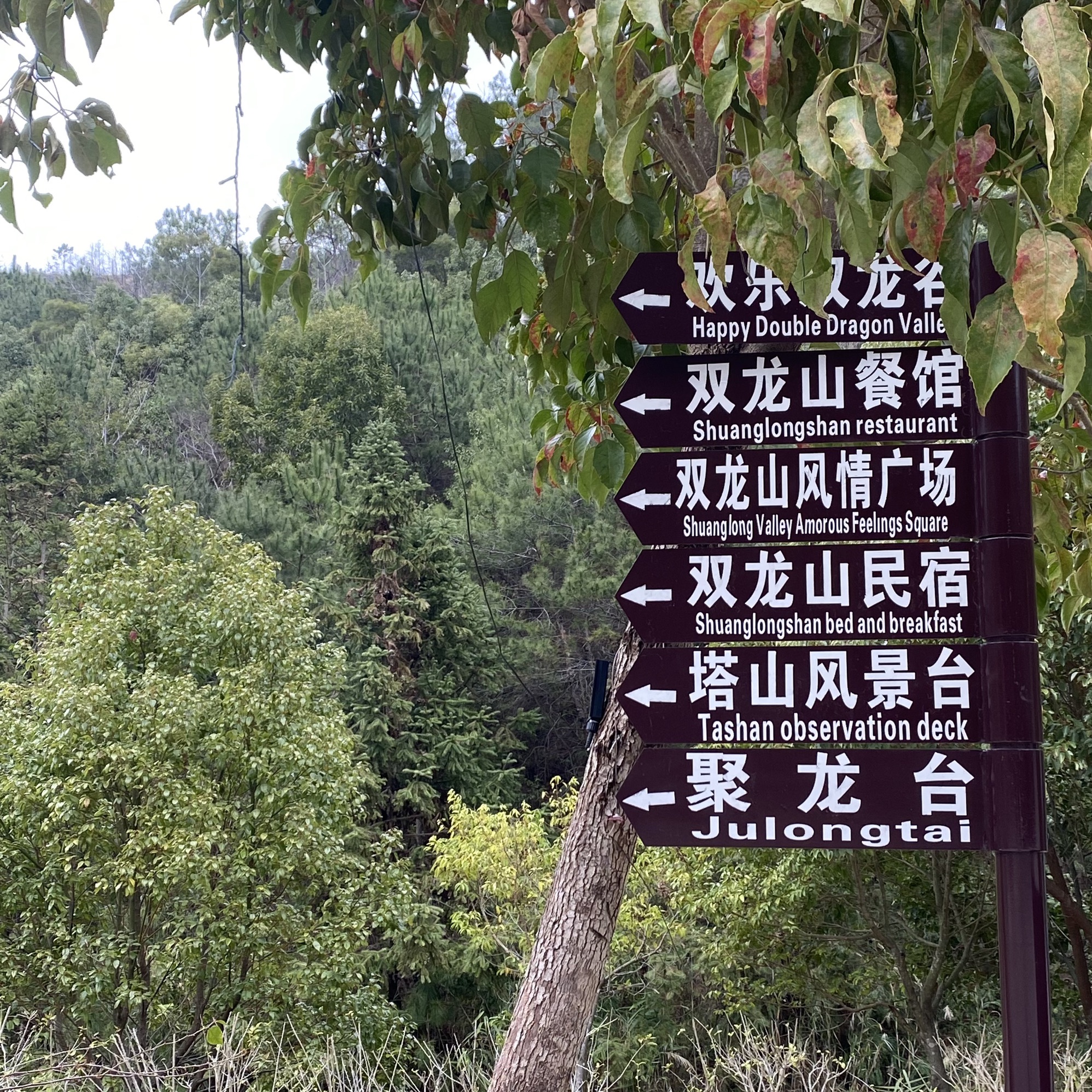 五华双龙山旅游景区旅行图片 1