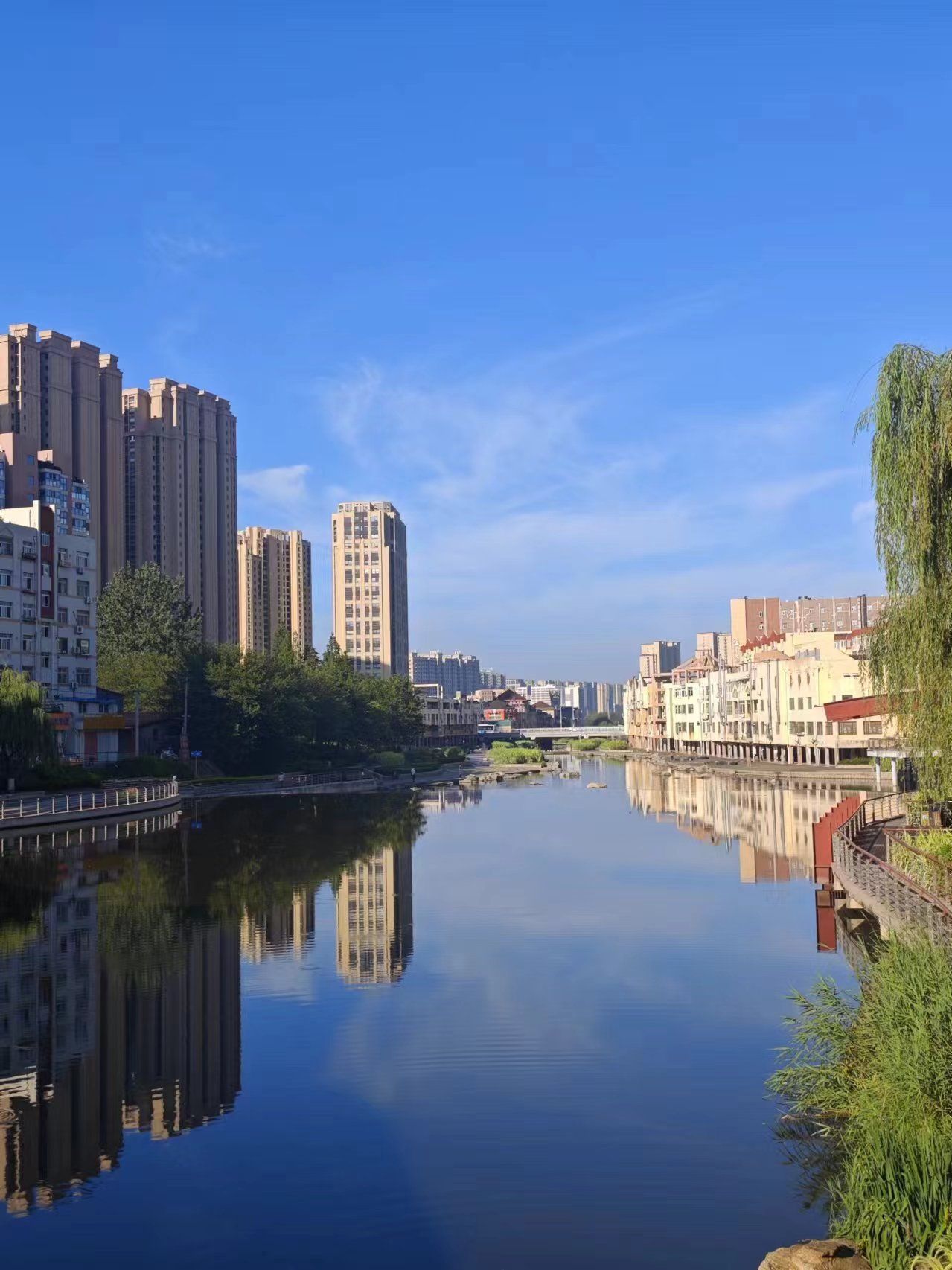 李村滨河公园旅行图片 3