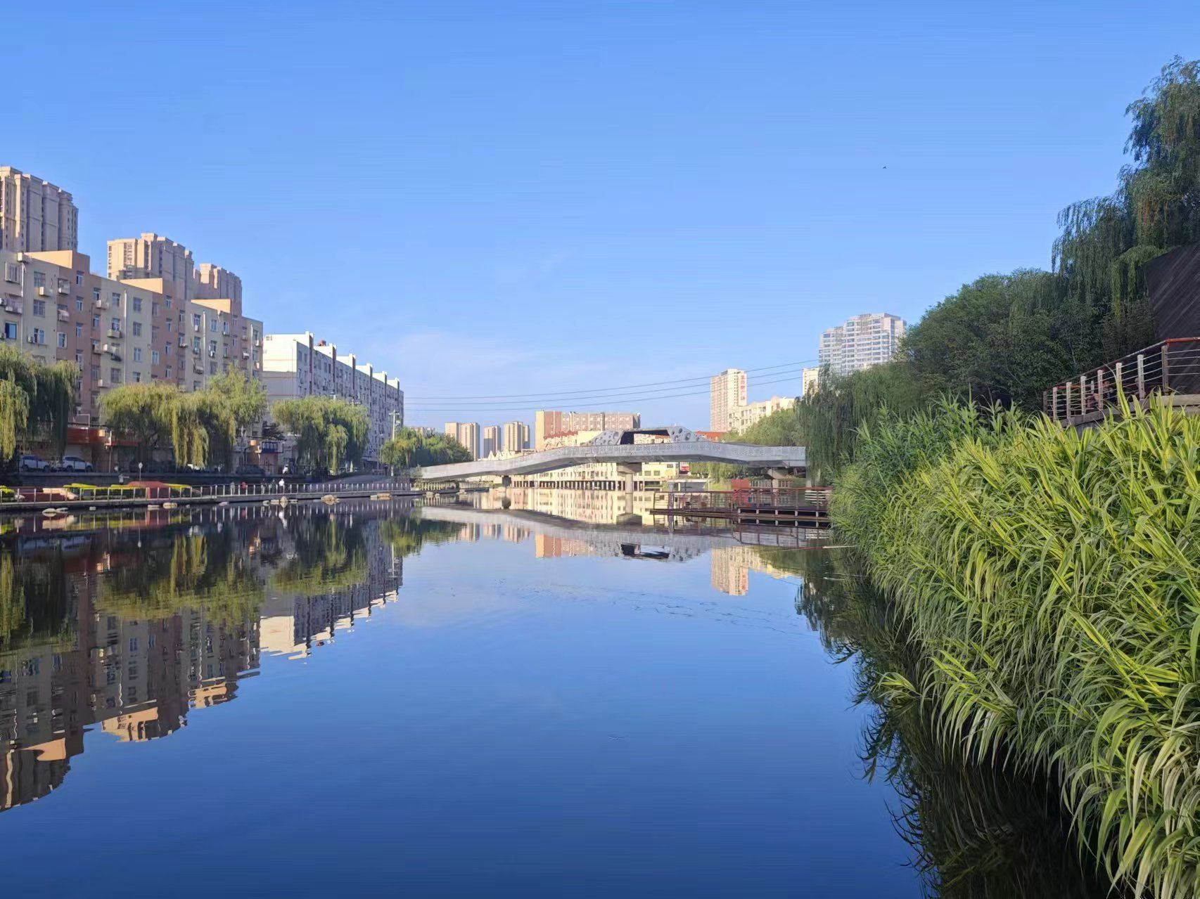 李村滨河公园旅行图片 2
