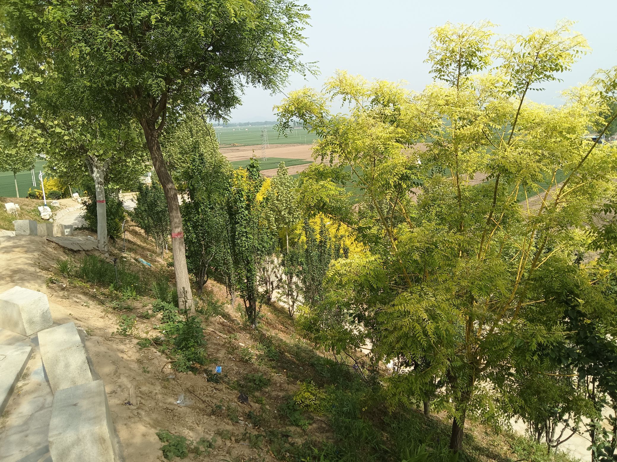 都山公园旅行图片 3