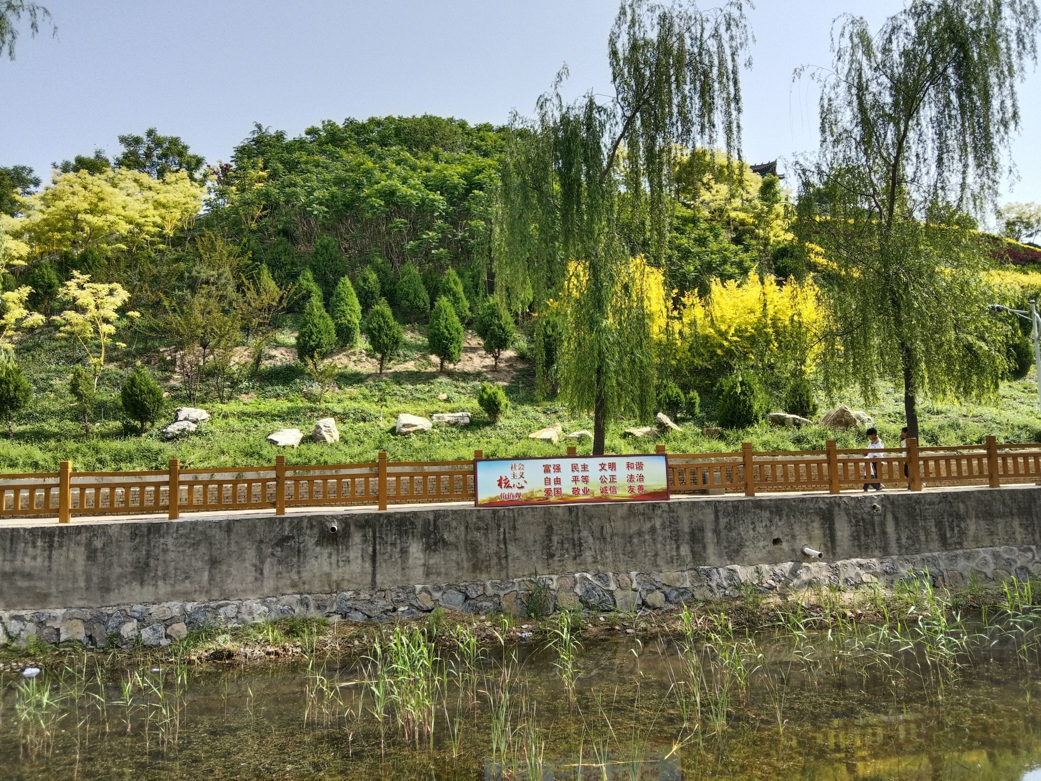 都山公园旅行图片 1