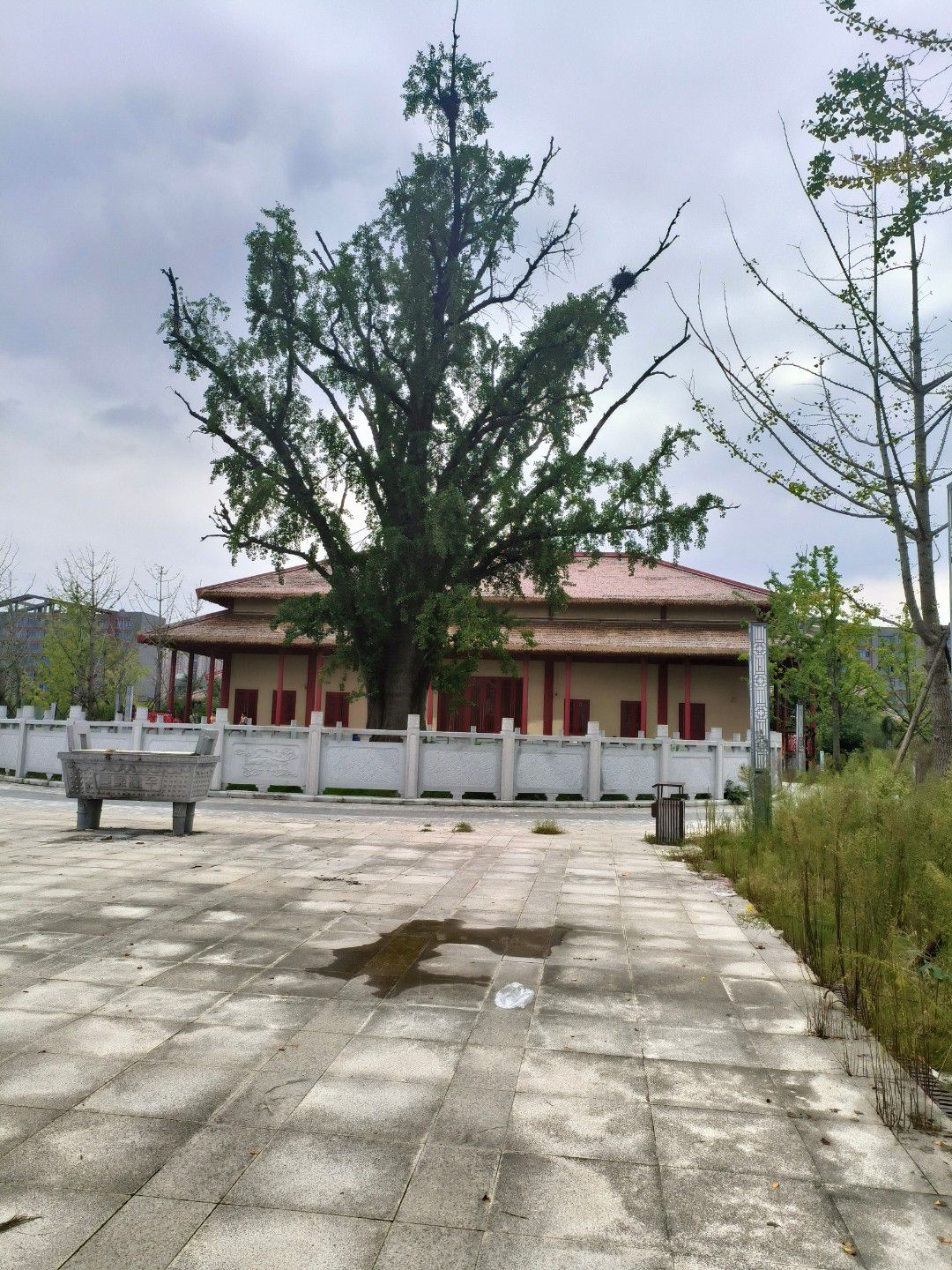 古沈子国遗址公园旅行图片