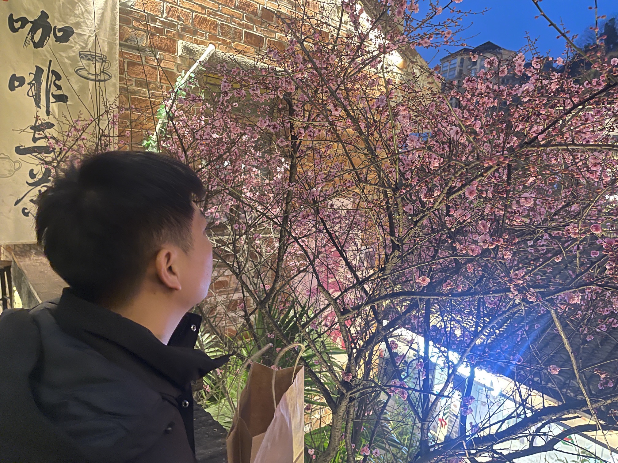 下浩里旅行图片 1