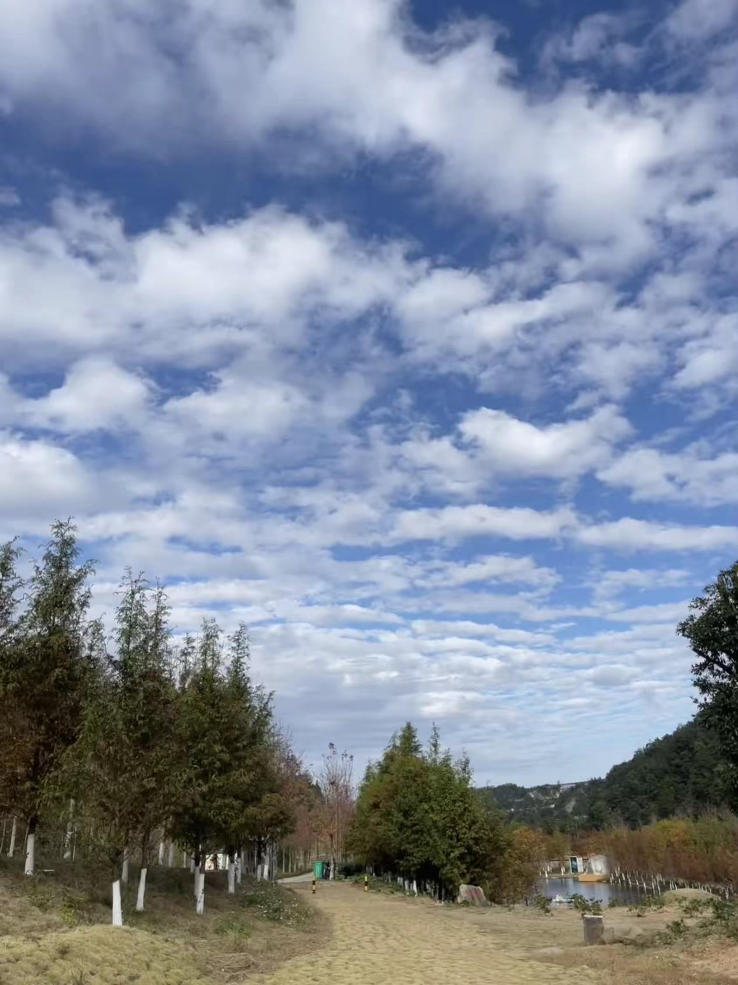 岭南红叶世界旅行图片 3