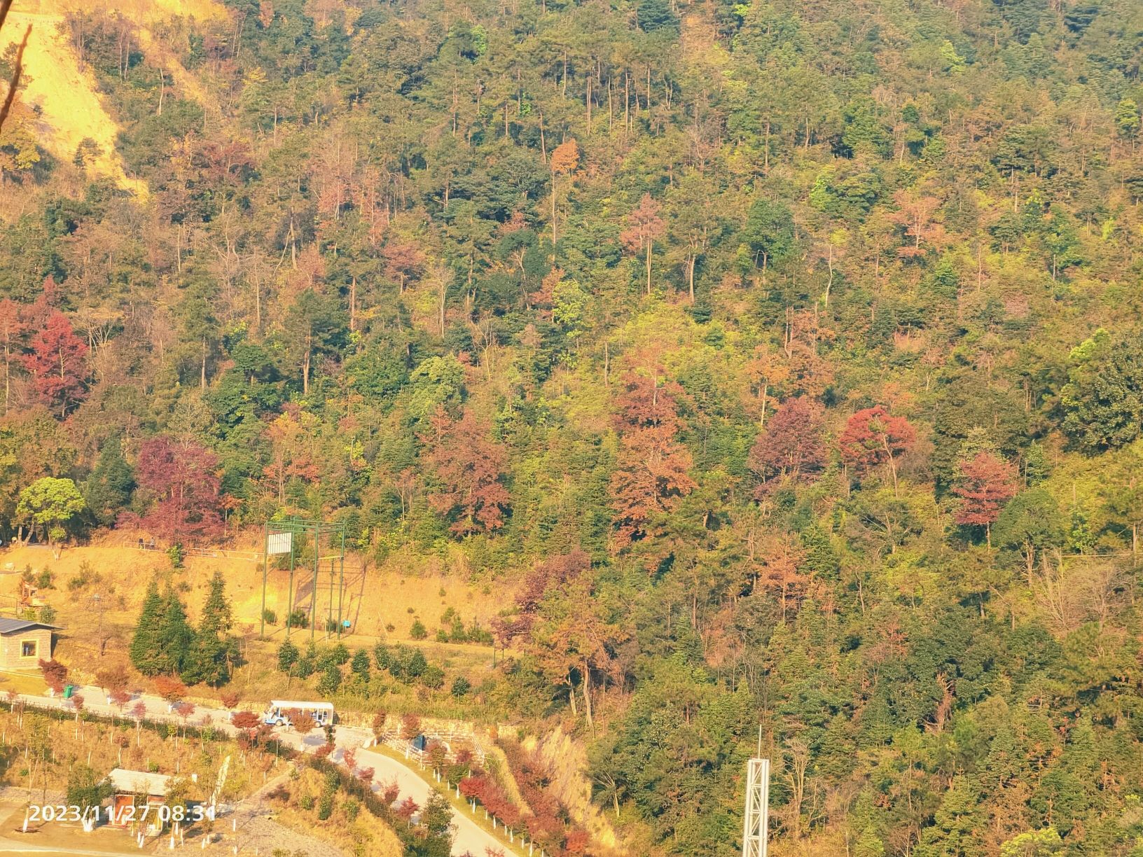岭南红叶世界旅行图片 3