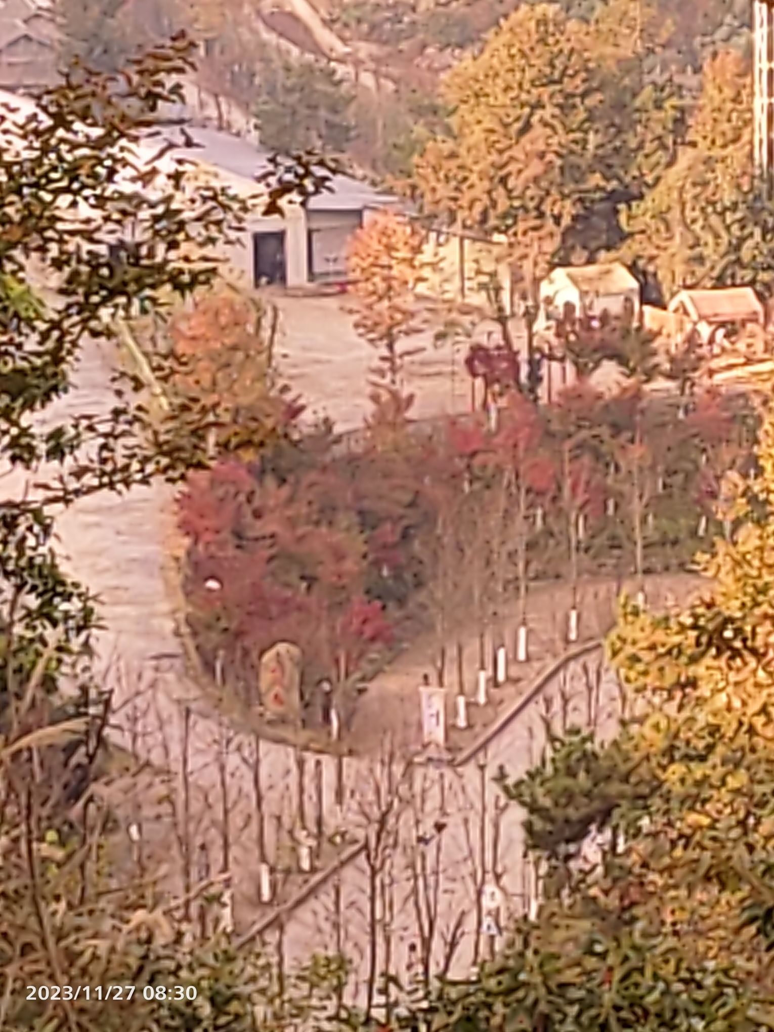 岭南红叶世界旅行图片 2