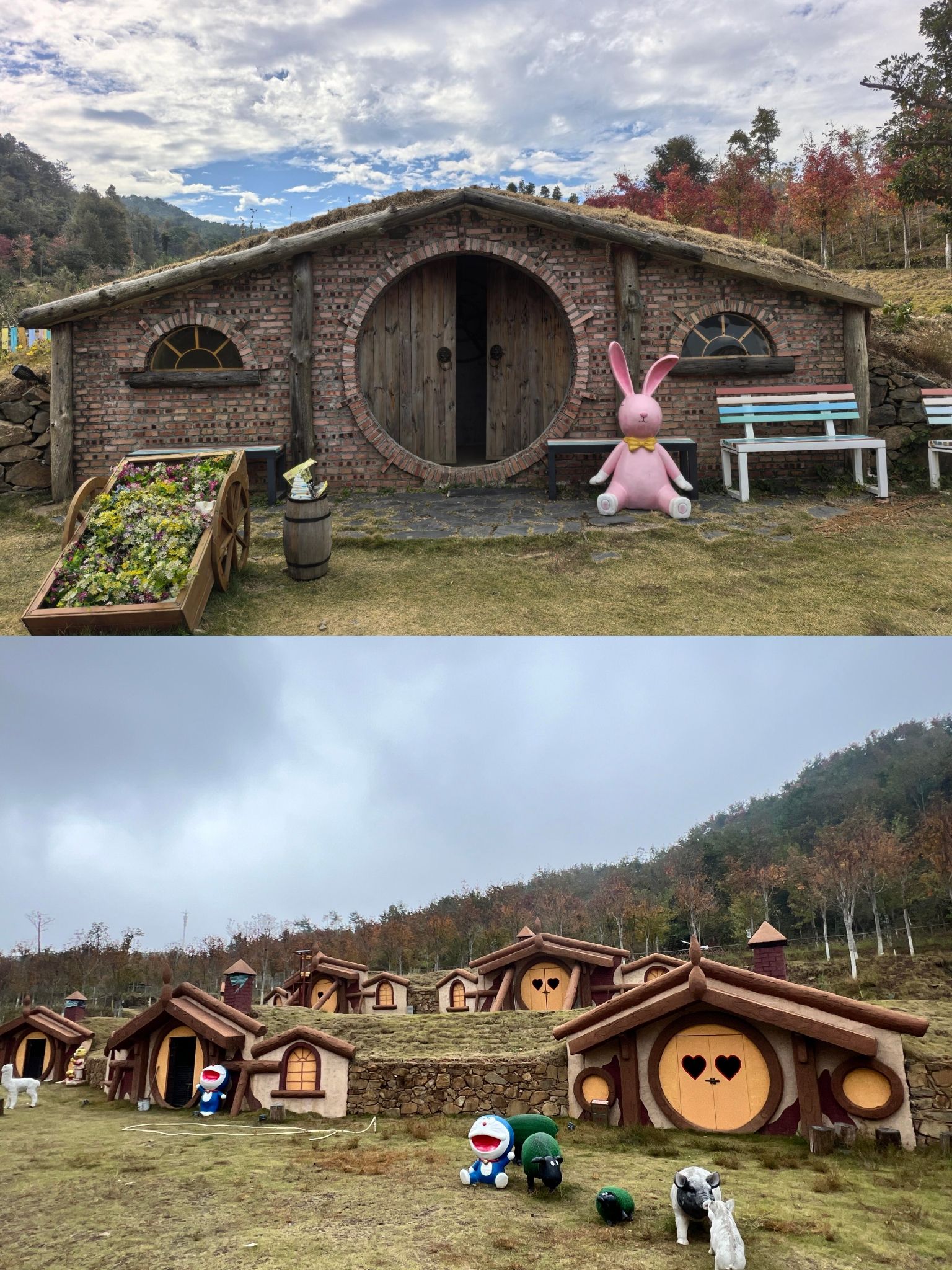 岭南红叶世界旅行图片 2