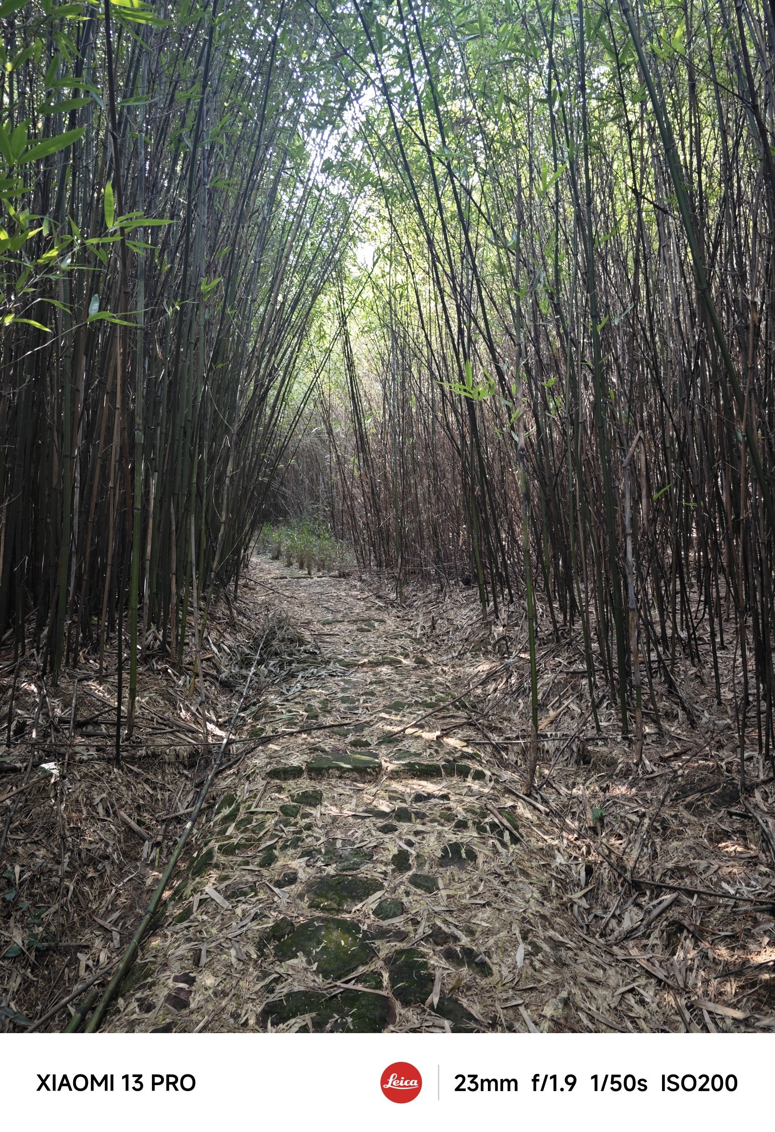 龙游县灵鹫峰风景区旅行图片 2