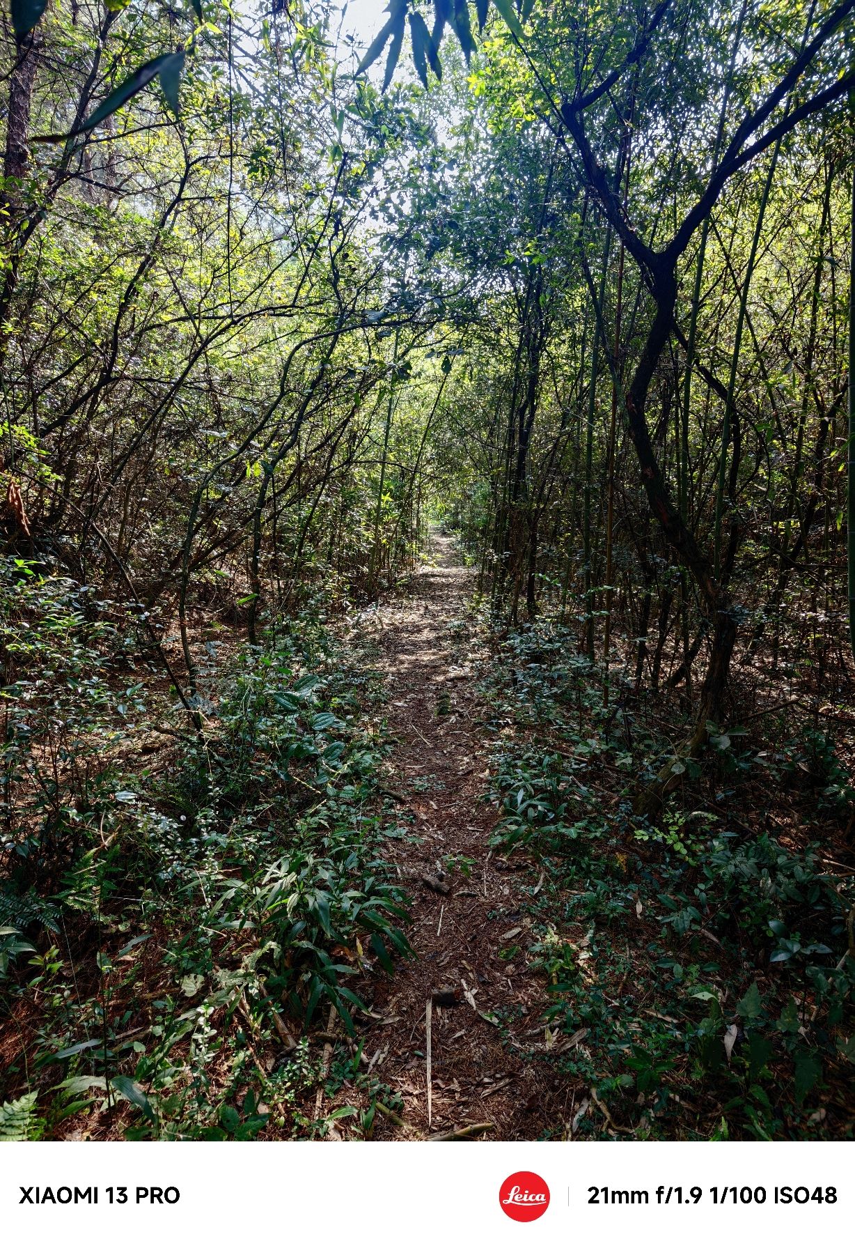 龙游县灵鹫峰风景区旅行图片 1