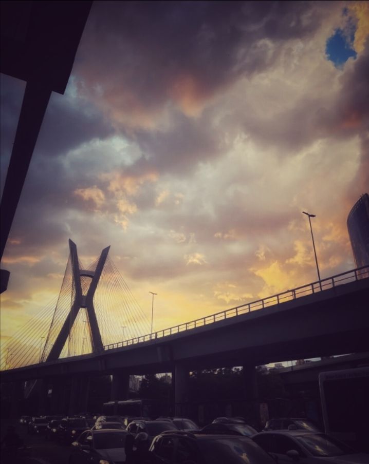 商河大公园旅行图片 2