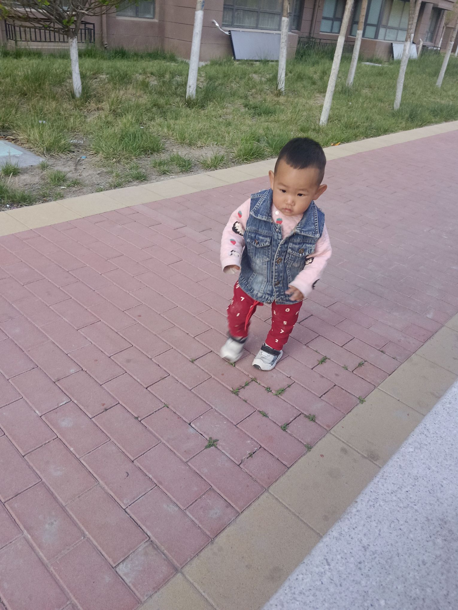 商河大公园旅行图片 3