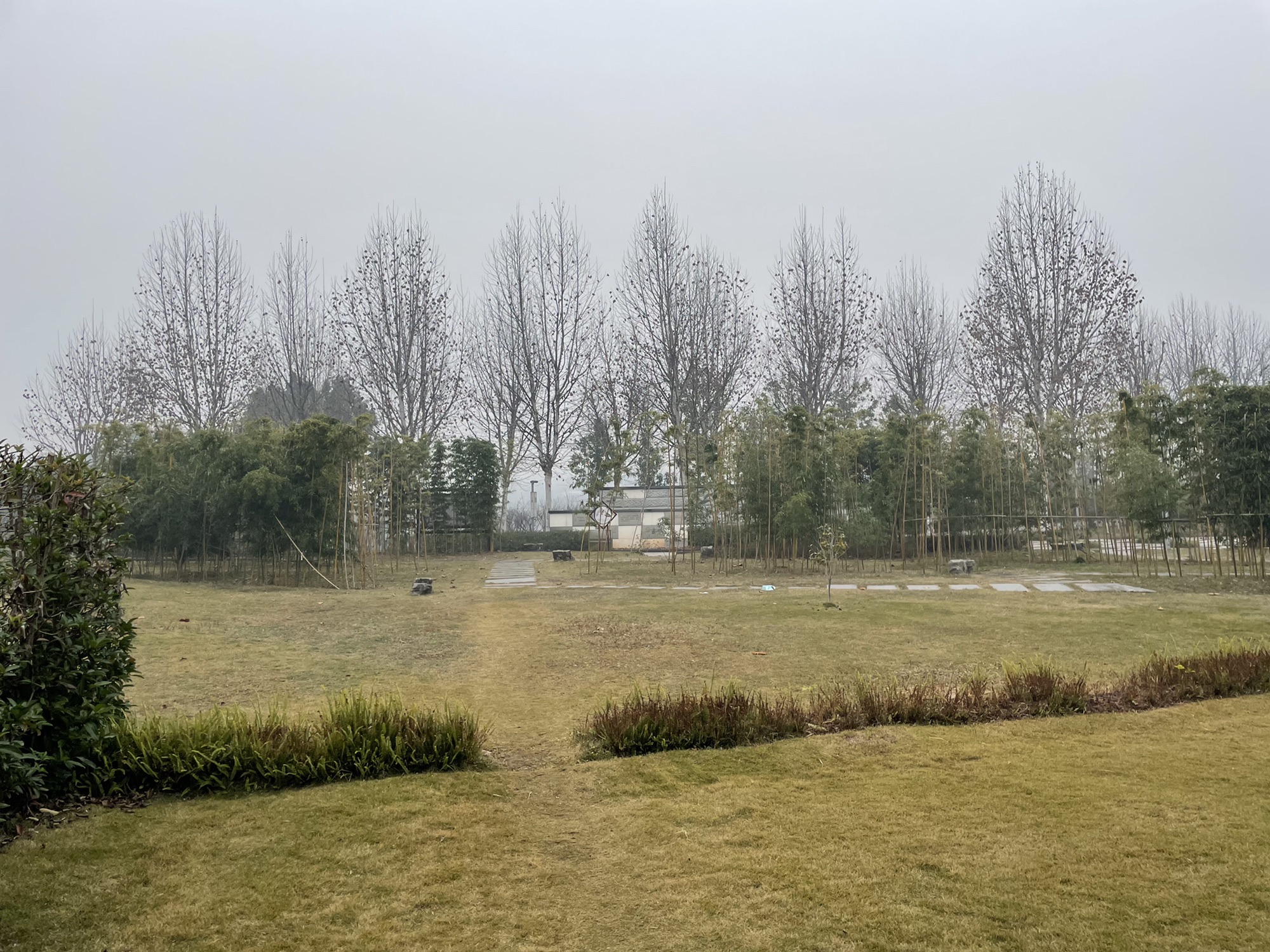 百岁溪湿地公园旅行图片 3