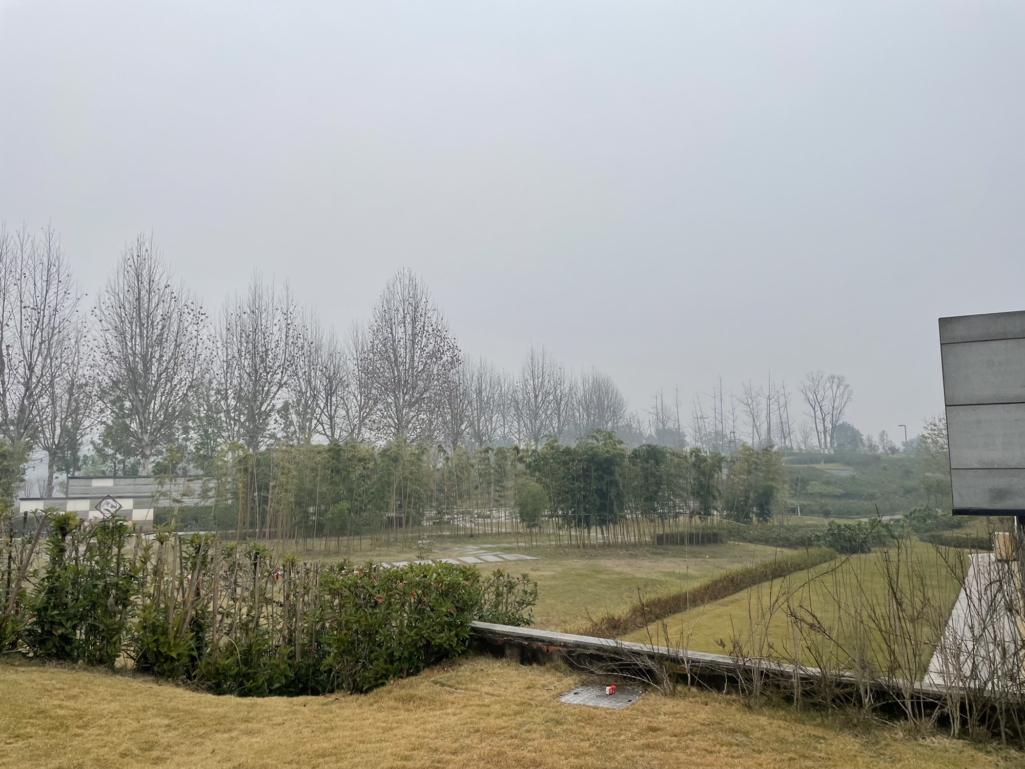 百岁溪湿地公园旅行图片 2