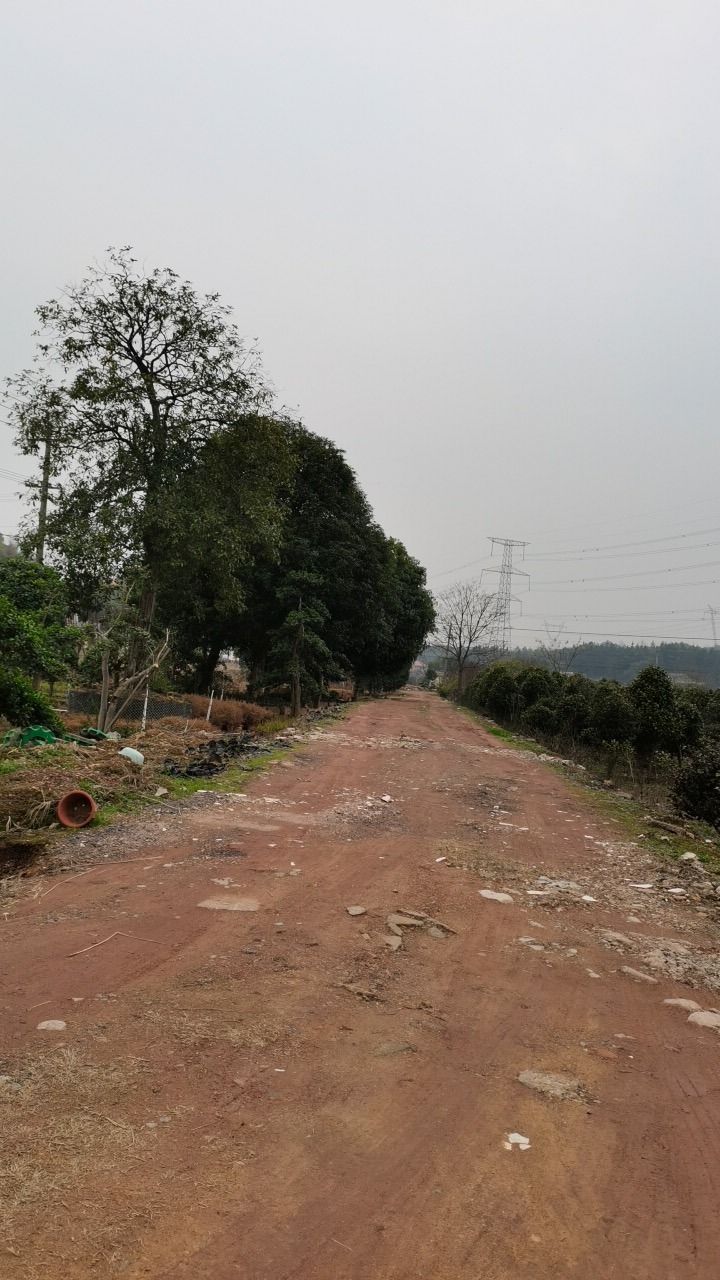 桃花谷旅行图片 3