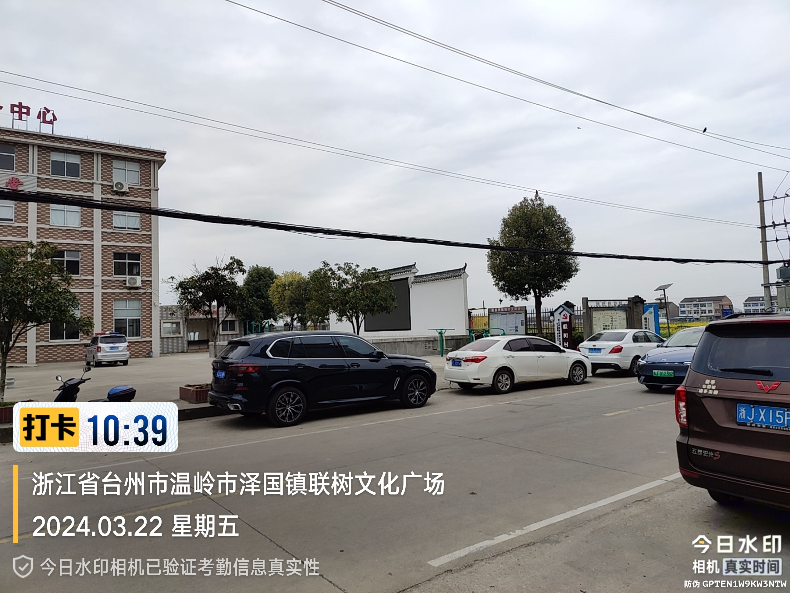 联树文化广场旅行图片 2