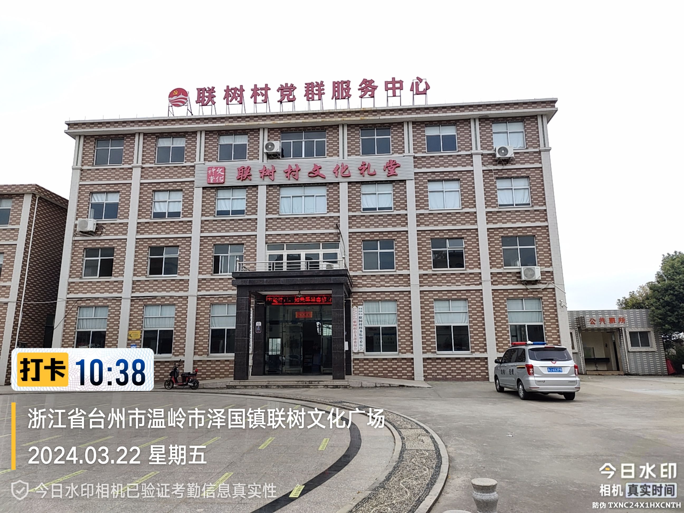 联树文化广场旅行图片 1