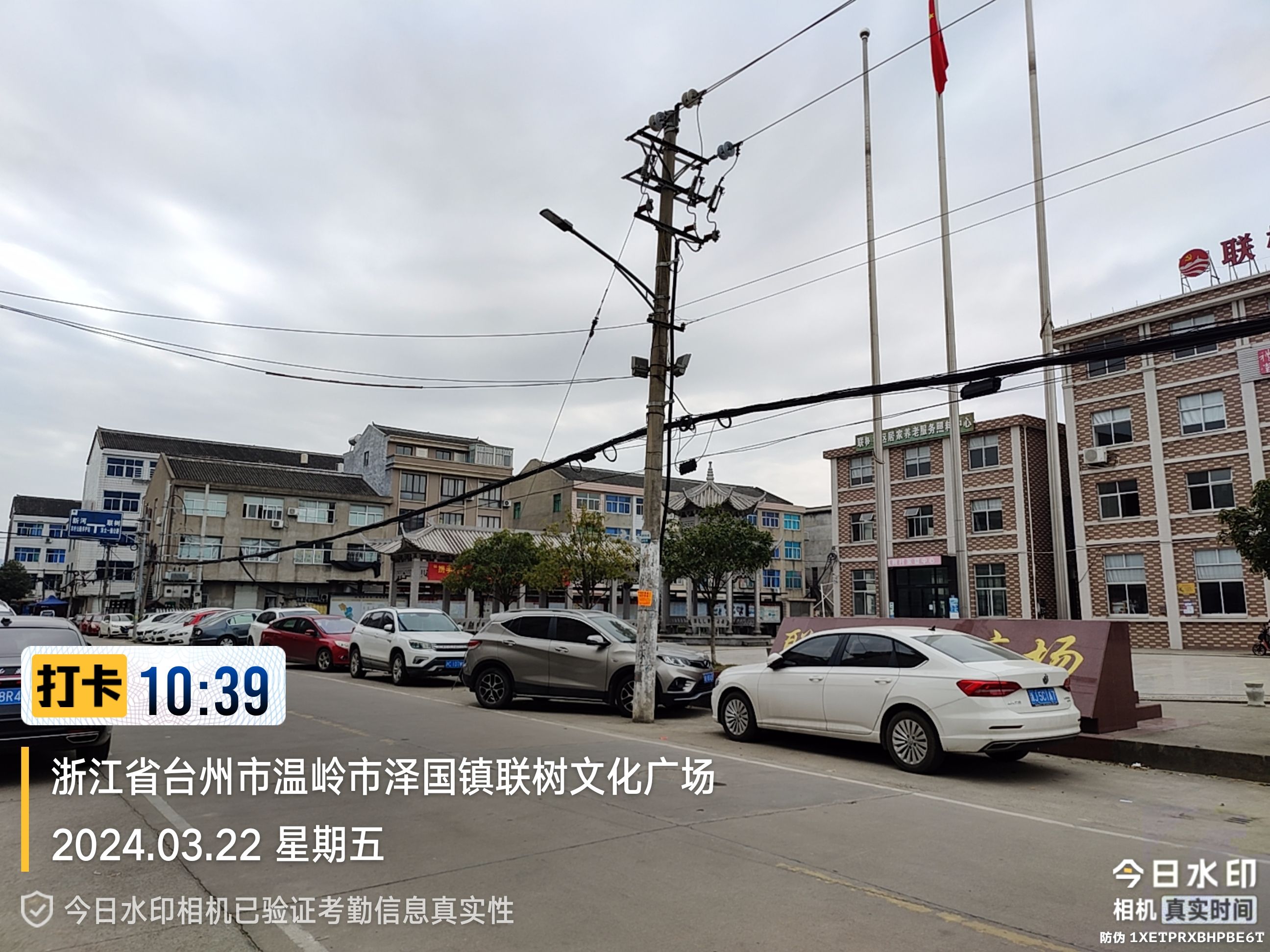 联树文化广场旅行图片 3