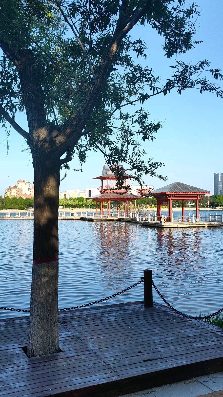 秋月湖公园旅行图片 2